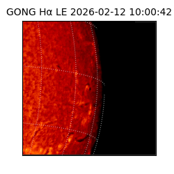 gong - 2026-02-12T10:00:42