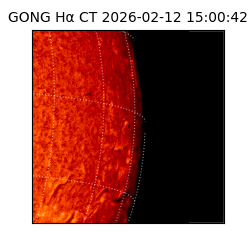 gong - 2026-02-12T15:00:42