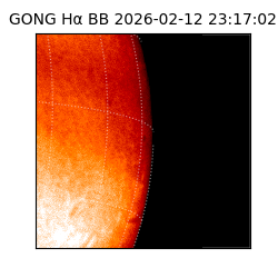gong - 2026-02-12T23:17:02