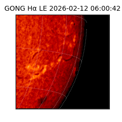 gong - 2026-02-12T06:00:42