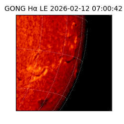 gong - 2026-02-12T07:00:42