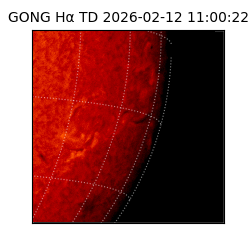 gong - 2026-02-12T11:00:22