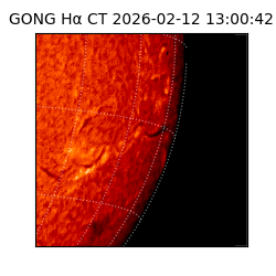 gong - 2026-02-12T13:00:42
