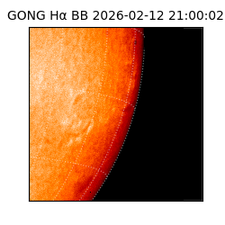 gong - 2026-02-12T21:00:02