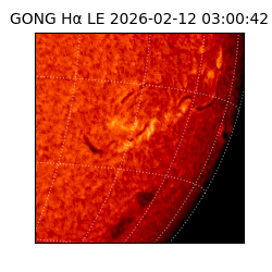 gong - 2026-02-12T03:00:42