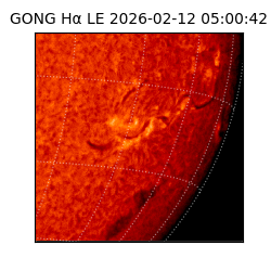 gong - 2026-02-12T05:00:42