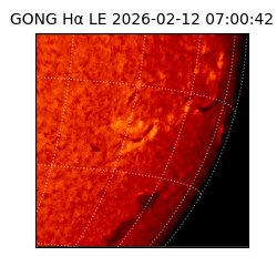 gong - 2026-02-12T07:00:42