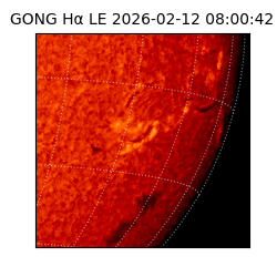 gong - 2026-02-12T08:00:42