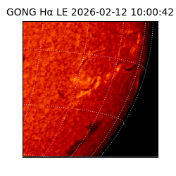 gong - 2026-02-12T10:00:42