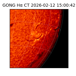 gong - 2026-02-12T15:00:42