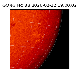 gong - 2026-02-12T19:00:02