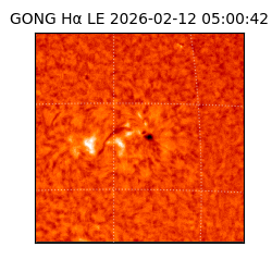 gong - 2026-02-12T05:00:42