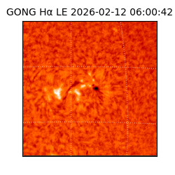 gong - 2026-02-12T06:00:42