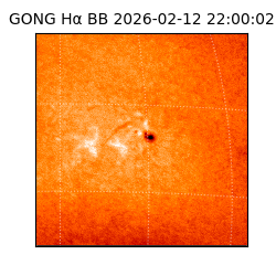 gong - 2026-02-12T22:00:02