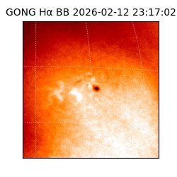 gong - 2026-02-12T23:17:02