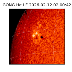 gong - 2026-02-12T02:00:42