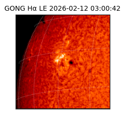 gong - 2026-02-12T03:00:42