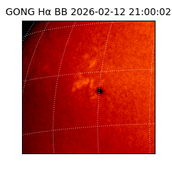 gong - 2026-02-12T21:00:02