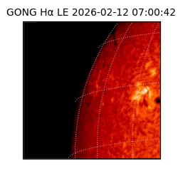 gong - 2026-02-12T07:00:42