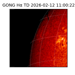 gong - 2026-02-12T11:00:22