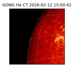 gong - 2026-02-12T15:00:42