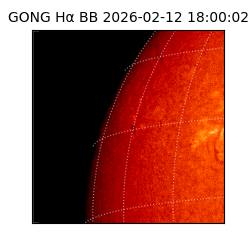 gong - 2026-02-12T18:00:02