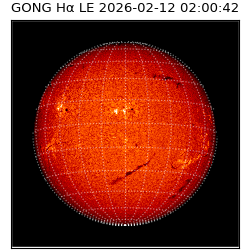 gong - 2026-02-12T02:00:42
