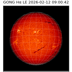 gong - 2026-02-12T09:00:42