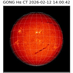gong - 2026-02-12T14:00:42