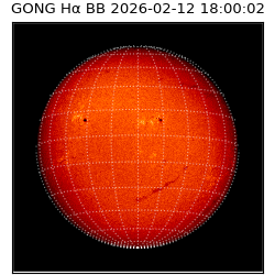 gong - 2026-02-12T18:00:02