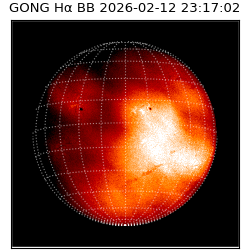 gong - 2026-02-12T23:17:02