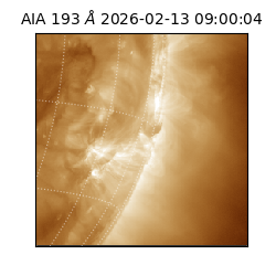 saia - 2026-02-13T09:00:04.843000
