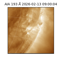 saia - 2026-02-13T09:00:04.843000