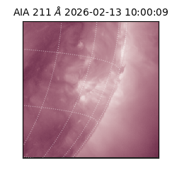 saia - 2026-02-13T10:00:09.626000