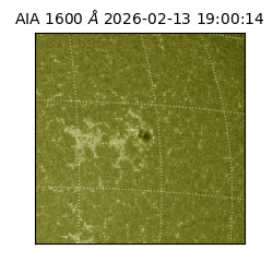 saia - 2026-02-13T19:00:14.125000