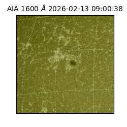 saia - 2026-02-13T09:00:38.133000