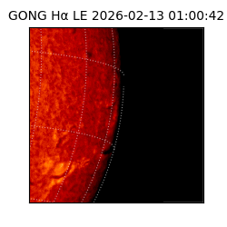gong - 2026-02-13T01:00:42