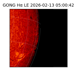 gong - 2026-02-13T05:00:42