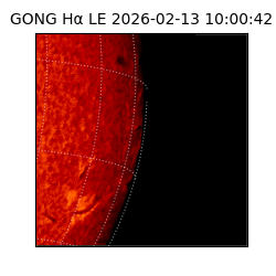 gong - 2026-02-13T10:00:42