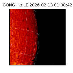gong - 2026-02-13T01:00:42
