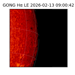 gong - 2026-02-13T09:00:42