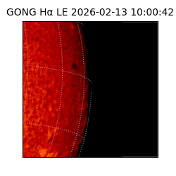 gong - 2026-02-13T10:00:42