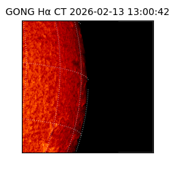 gong - 2026-02-13T13:00:42