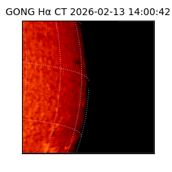 gong - 2026-02-13T14:00:42