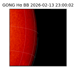 gong - 2026-02-13T23:00:02