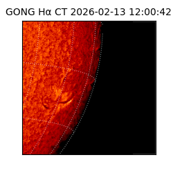 gong - 2026-02-13T12:00:42