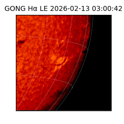 gong - 2026-02-13T03:00:42