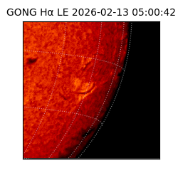gong - 2026-02-13T05:00:42