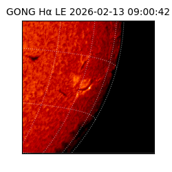 gong - 2026-02-13T09:00:42