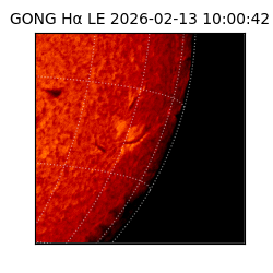 gong - 2026-02-13T10:00:42